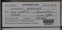 Image Associated With the Occurence